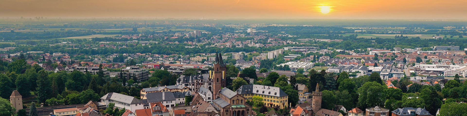 AfD Rhein-Neckar-Kreis Kommunalwahl 2024